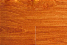 Sàn gỗ Premier P6011